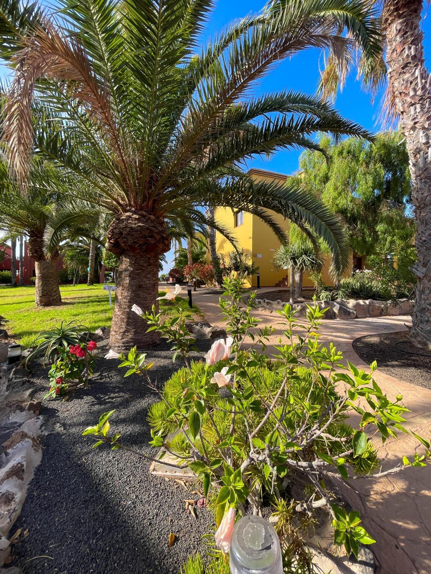 Karol Home By Best Holidays Fuerteventura 코라레호 외부 사진